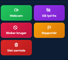 Ny Opdatering - Webcam UI